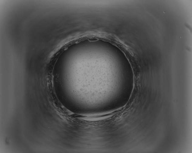 X0000091901496200709191227