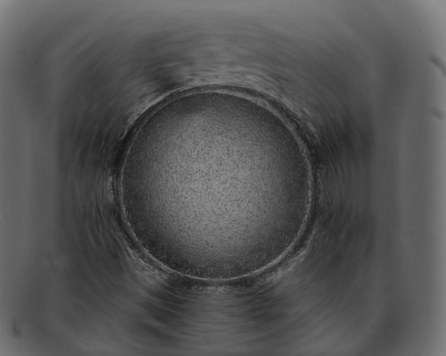 X0000091901497200709191227