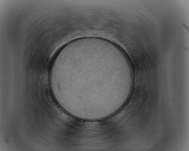 X0000091901498200709191227