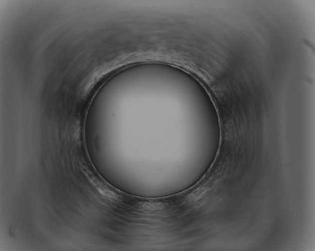 X0000091901499200709191227