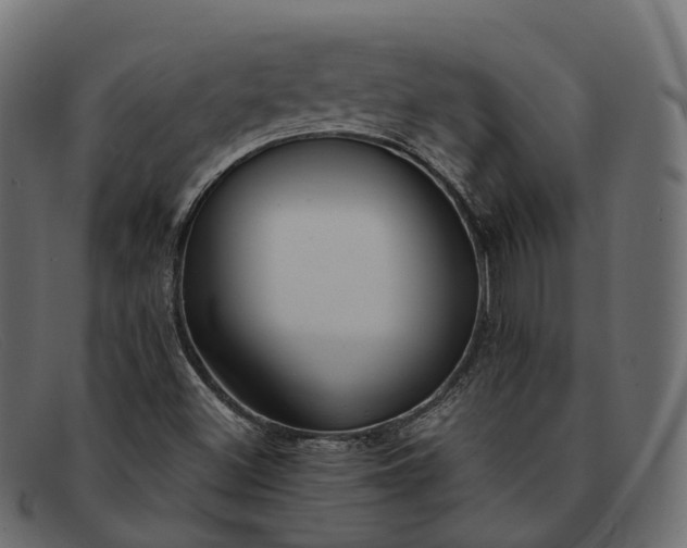 X0000091901500200709191227