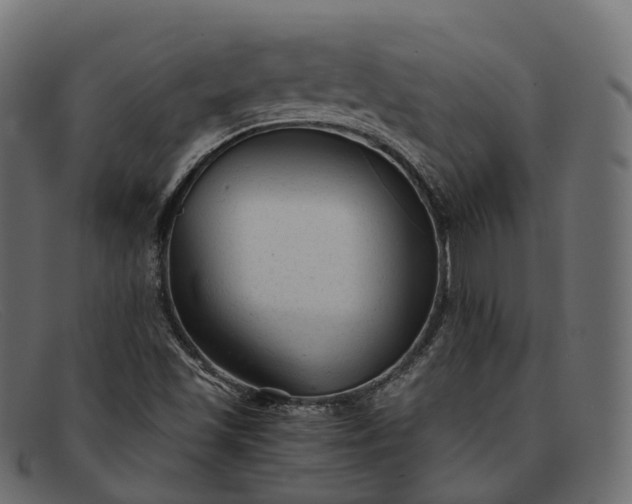 X0000091901501200709191227