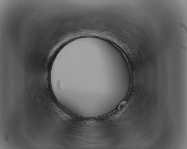 X0000091901502200709191227