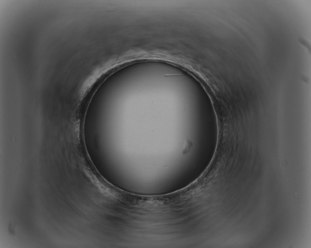 X0000091901503200709191227