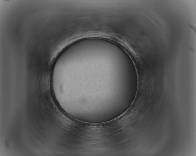 X0000091901504200709191227