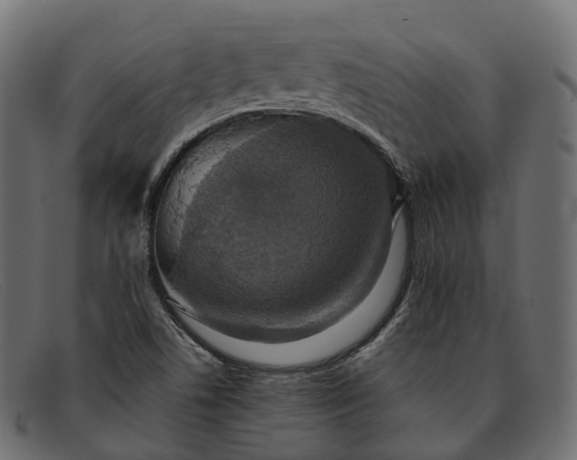 X0000091901506200709191227