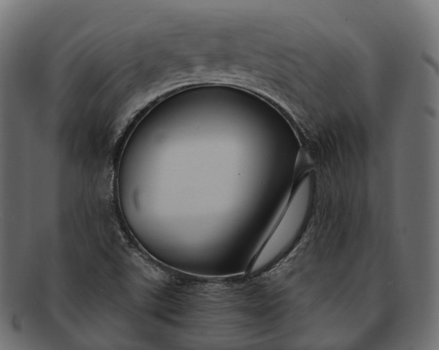 X0000091901507200709191227