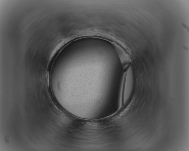 X0000091901509200709191227