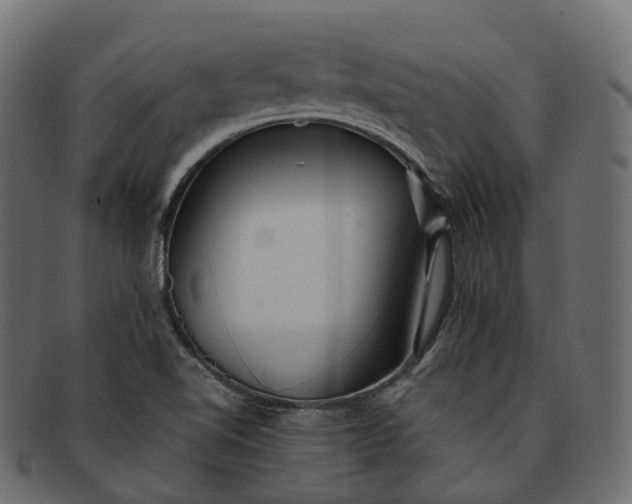 X0000091901510200709191227