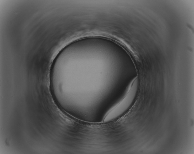 X0000091901512200709191227