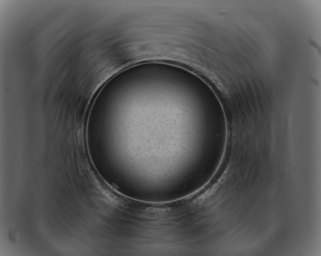 X0000091901513200709191227