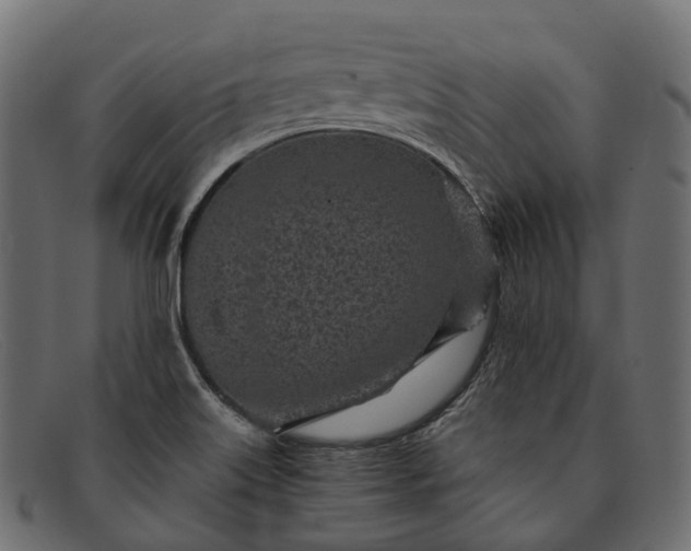 X0000091901515200709191227