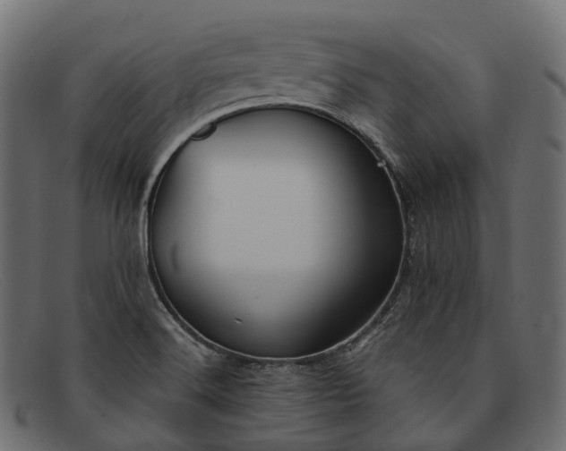 X0000091901516200709191227