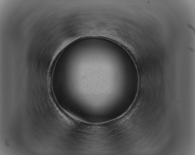 X0000091901517200709191227