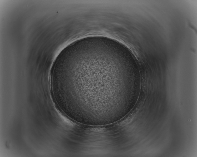 X0000091901519200709191227