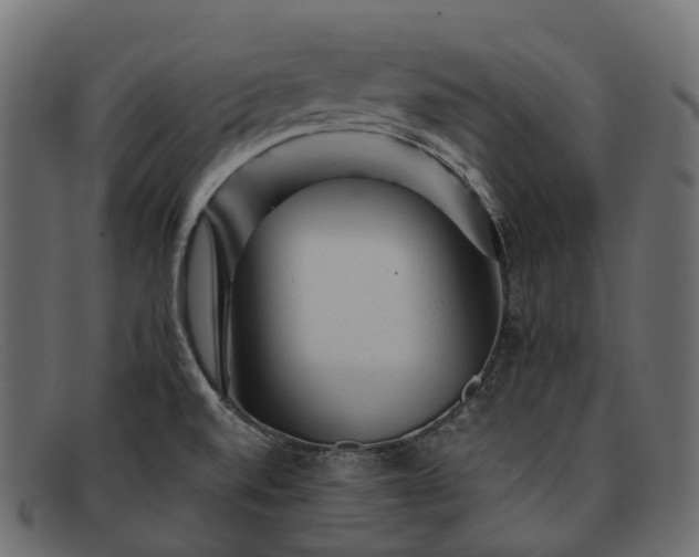 X0000091901520200709191227