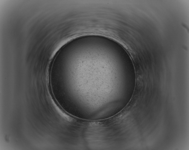 X0000091901523200709191227