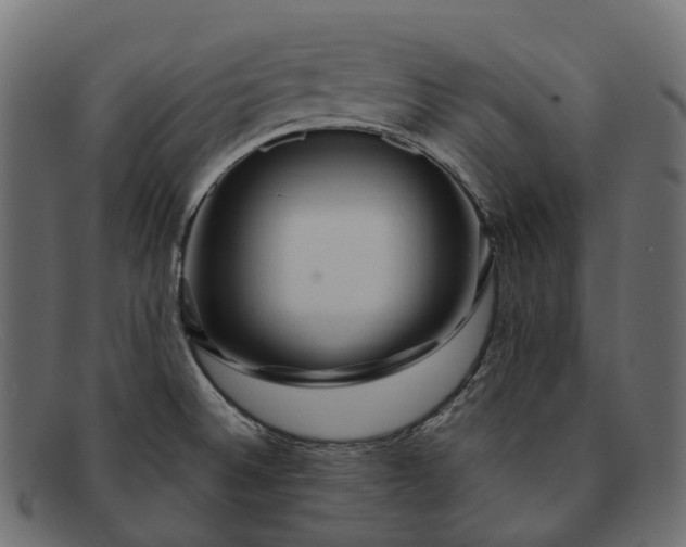 X0000091901524200709191227