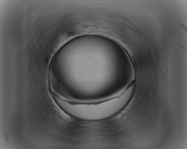 X0000091901525200709191227