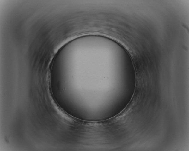 X0000091901526200709191227