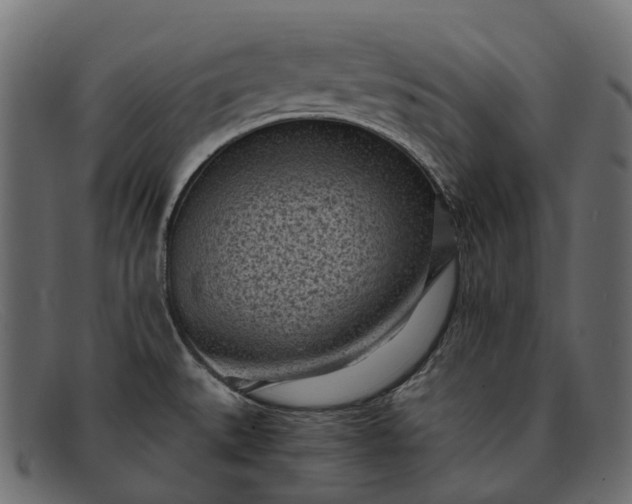 X0000091901527200709191227