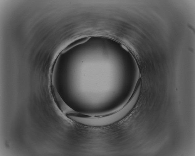 X0000091901528200709191227