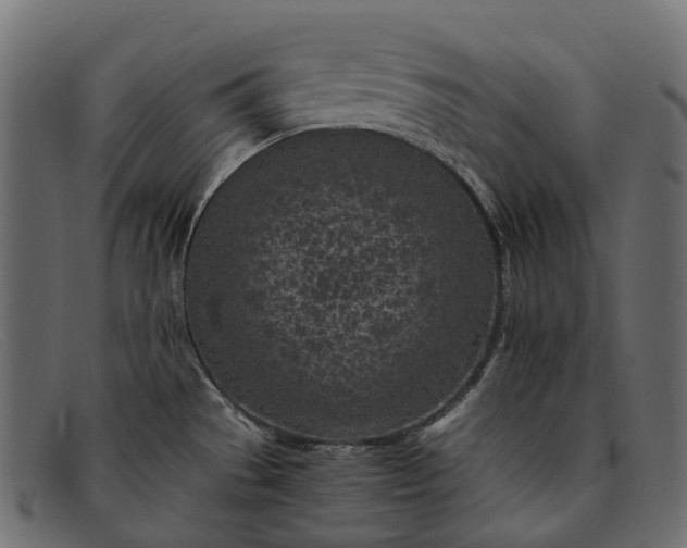 X0000091901529200709191227