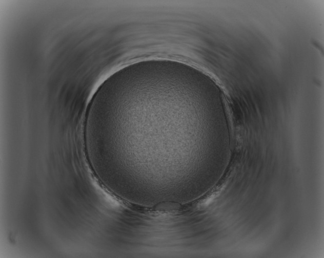 X0000091901530200709191227