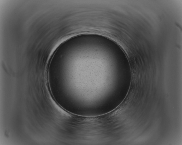 X0000091901531200709191227