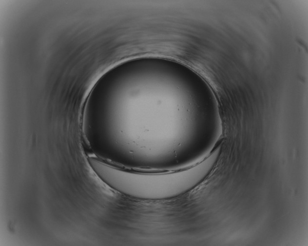 X0000091901532200709191227