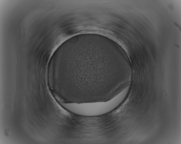 X0000091901533200709191227