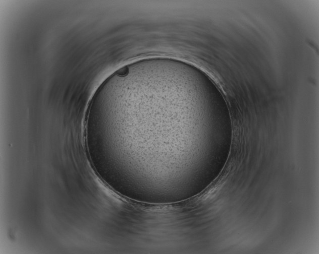 X0000091901535200709191227