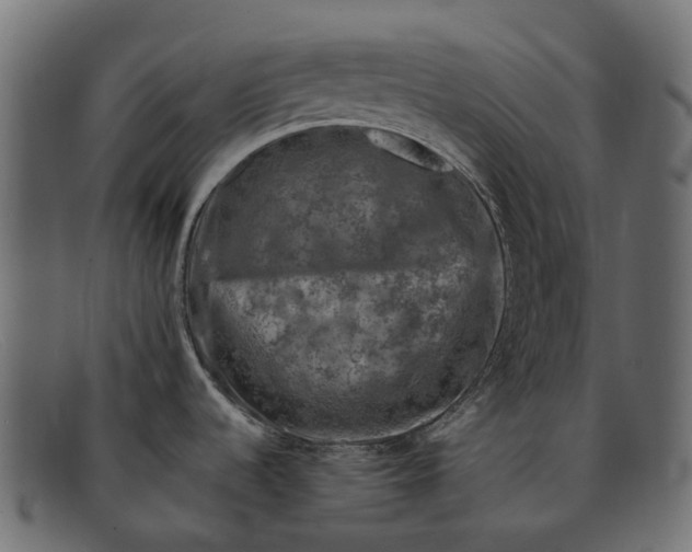 X0000091901536200709191227