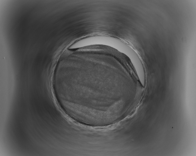 X0000091900001200709261706