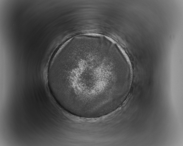 X0000091900002200709261706