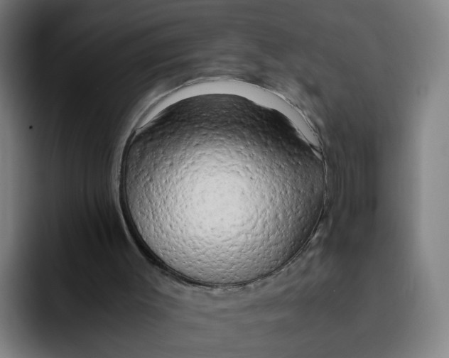 X0000091900003200709261706