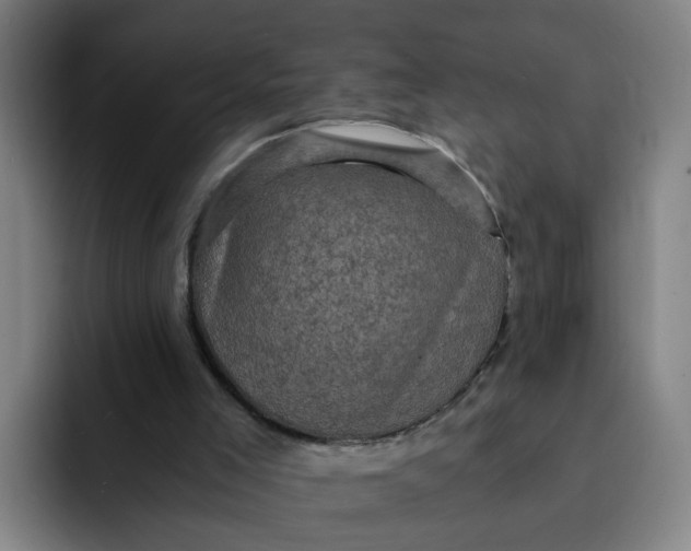 X0000091900005200709261706