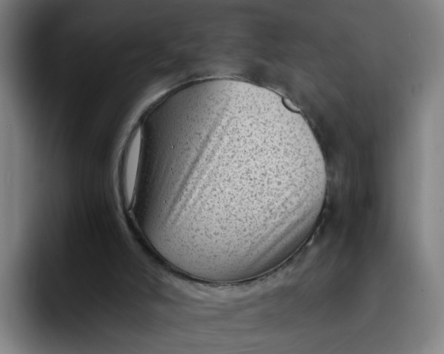 X0000091900006200709261706