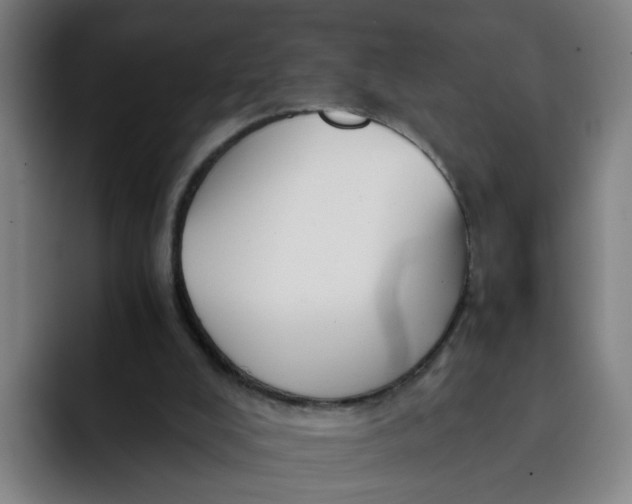 X0000091900008200709261706