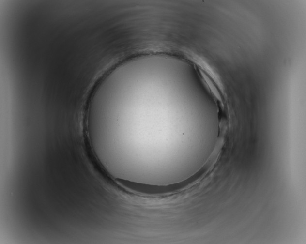 X0000091900010200709261706