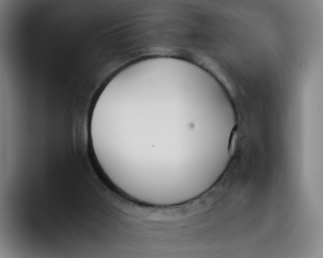 X0000091900011200709261706