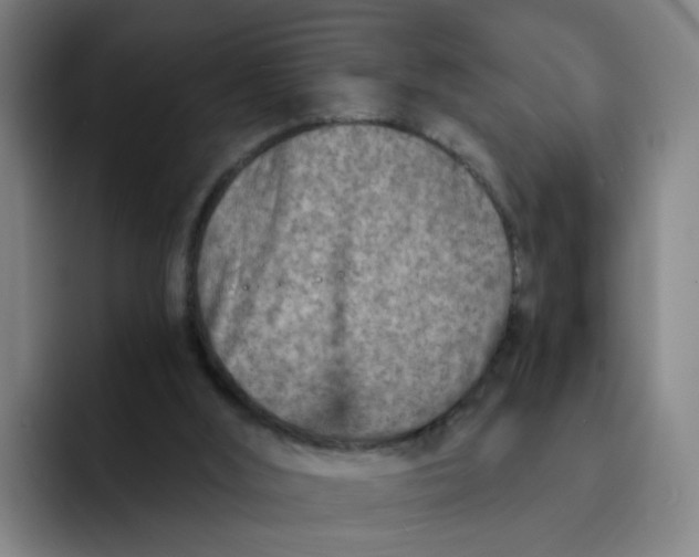 X0000091900012200709261706