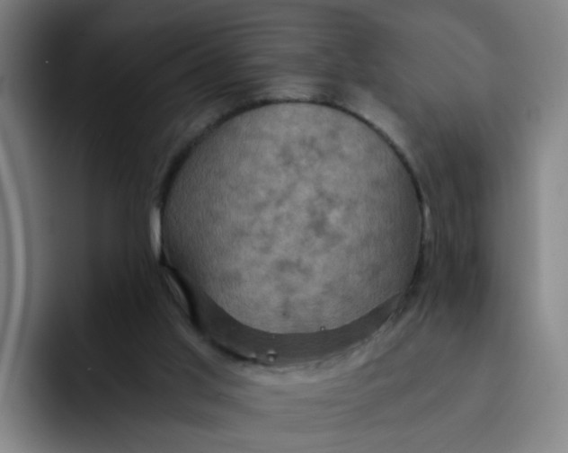 X0000091900013200709261706