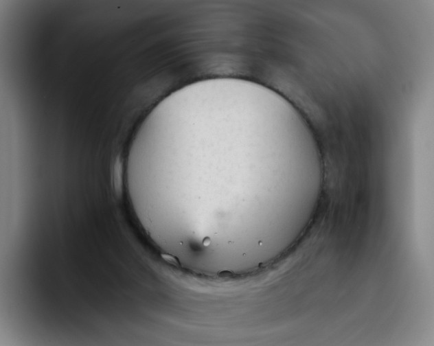 X0000091900014200709261706