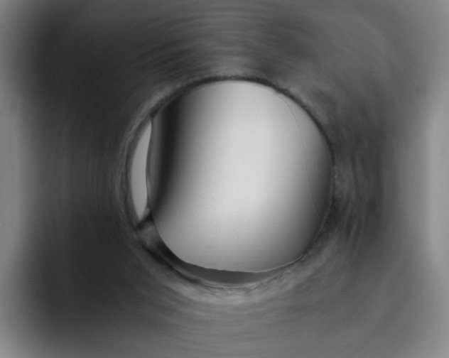 X0000091900015200709261706