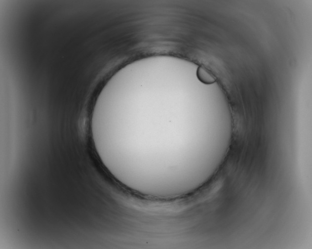 X0000091900016200709261706