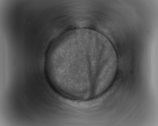 X0000091900018200709261706