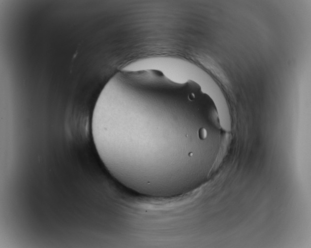 X0000091900021200709261706