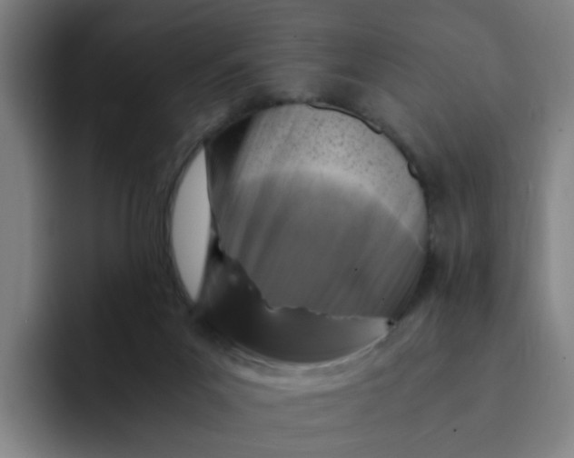 X0000091900023200709261706