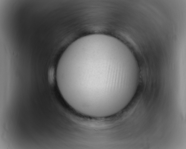 X0000091900024200709261706